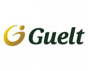 GUELT INVESTIMENTOS